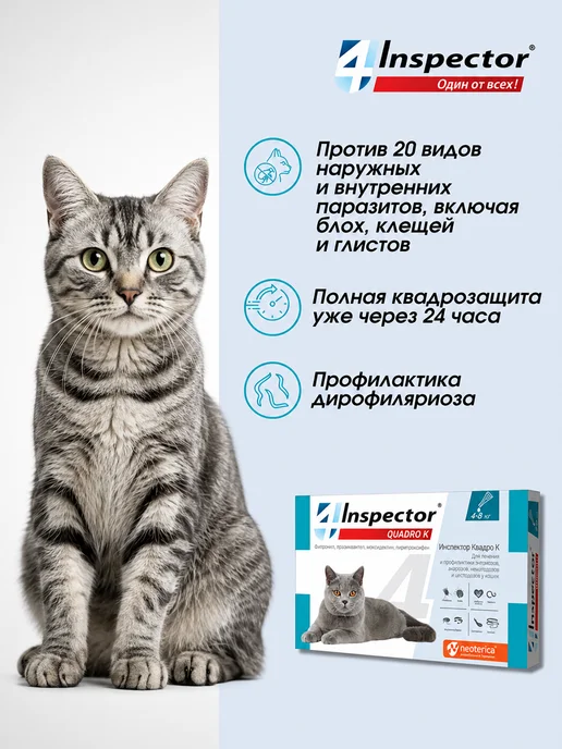 inspector Капли от глистов и клещей для кошек 4-8 кг 1 пипетка, 48 кг, фото 2