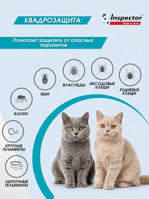 inspector Капли от глистов и клещей для кошек 4-8 кг 1 пипетка, 48 кг, фото 3