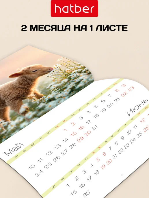 Hatber Календарь настенный перекидной 2027 год на скобе Знак Года, год на скобе Знак, фото 3