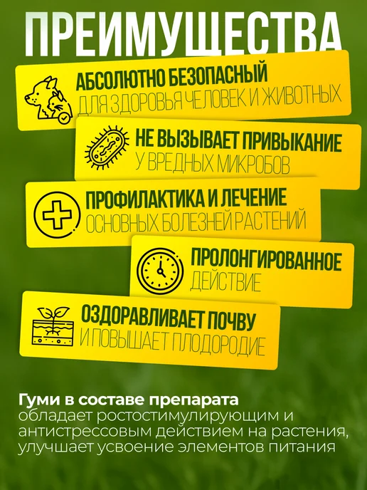 БашИнком Фитоспорин паста защита для растений от болезней, вариант, фото 4
