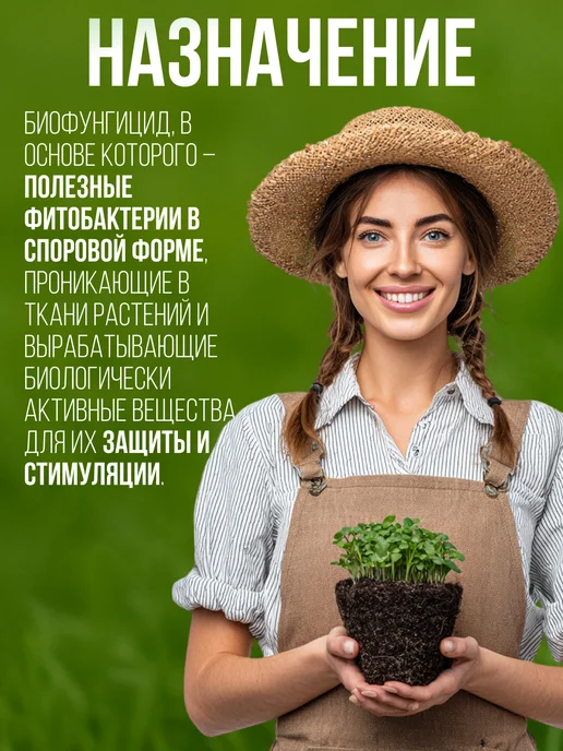 БашИнком Фитоспорин паста защита для растений от болезней, вариант, фото 5