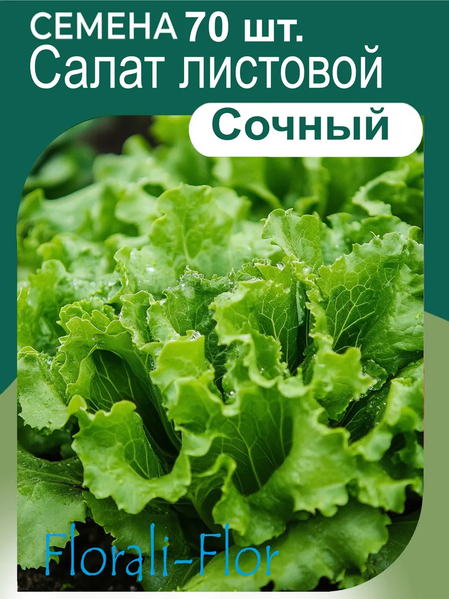 Семена Салат Листовой