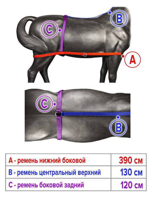 REITER Шлейка для лошади капроновая под седло 35 мм, вариант, фото 3