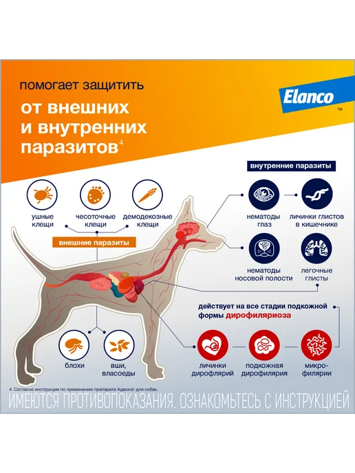Elanco Адвокат капли для собак от 4 до 10 кг 1 шт, 10 кг, 1 шт, фото 3