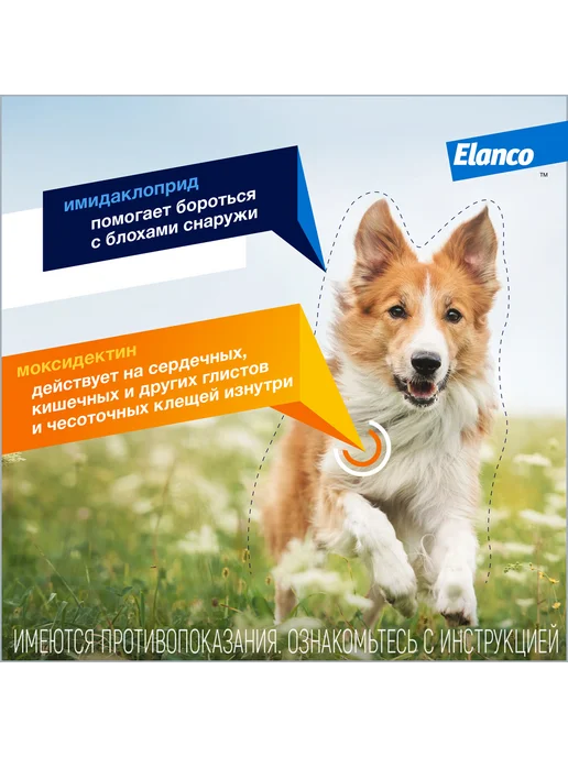 Elanco Адвокат капли для собак от 4 до 10 кг 1 шт, 10 кг, 1 шт, фото 4