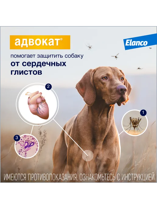 Elanco Адвокат капли для собак от 4 до 10 кг 1 шт, 10 кг, 1 шт, фото 6