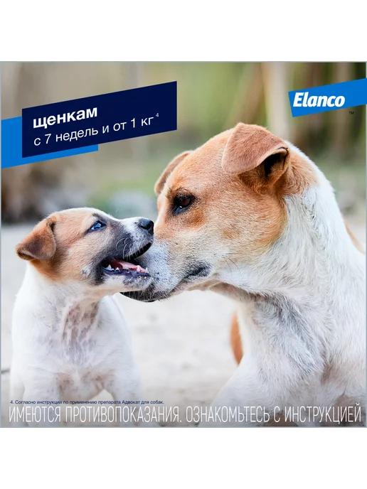 Elanco Адвокат капли для собак от 4 до 10 кг 1 шт, 10 кг, 1 шт, фото 7
