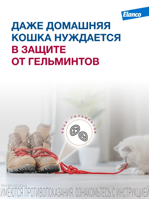 Elanco Мильбемакс таблетки для кошек, вариант, фото 2