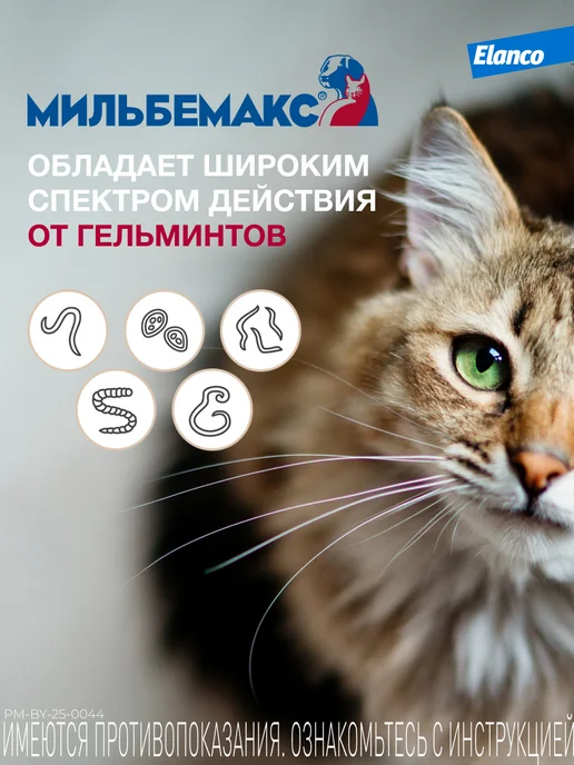 Elanco Мильбемакс таблетки для кошек, вариант, фото 3