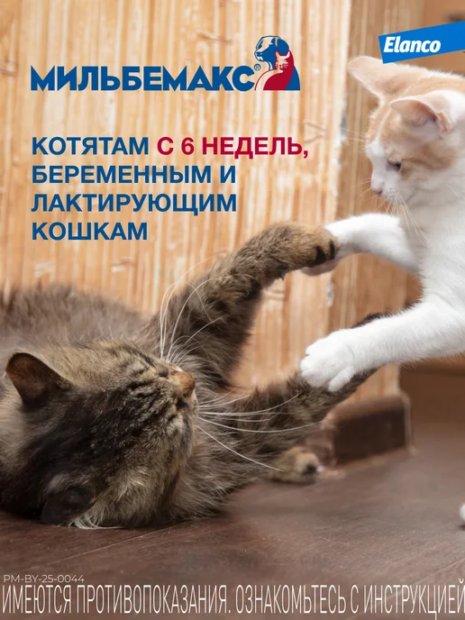 Elanco Мильбемакс таблетки для кошек, вариант, фото 5