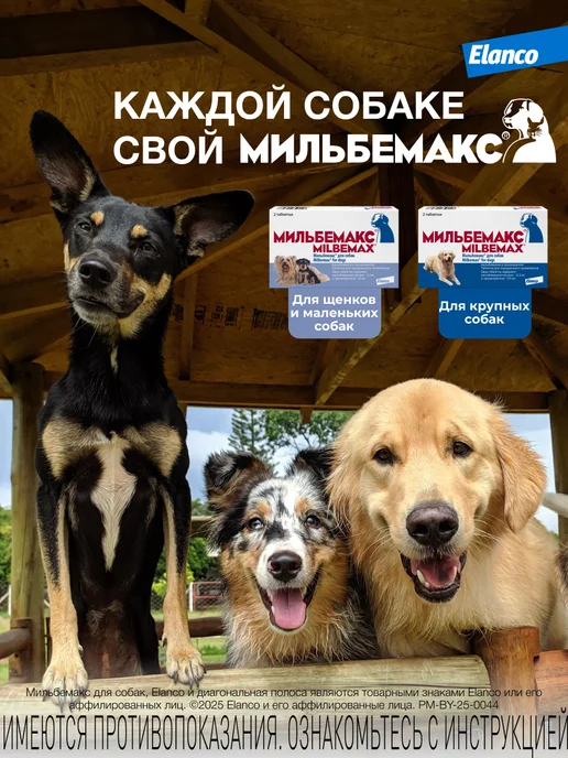 Elanco Мильбемакс для щенков и собак мелких пород, вариант, фото 8