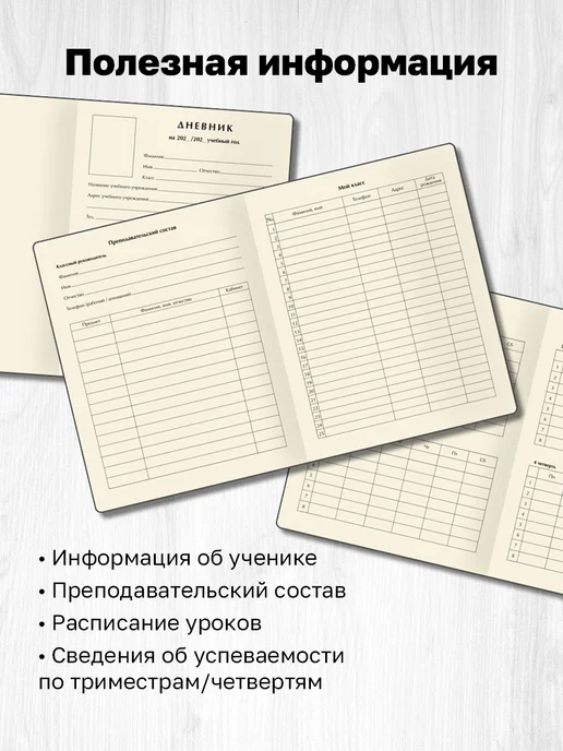 BG Дневник школьный 1-4 и 5-11 класс, вариант, фото 4