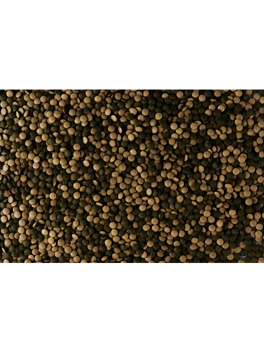 TETRA Pleco Tablets 120 таб. корм для рыб аквариумных донных, 150 мл, 85 г, фото 3
