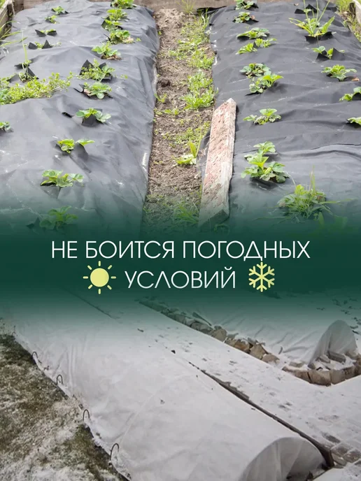 AgroMakHaus Спанбонд черный 80 2.13х10м для клубники от сорняков, черный, фото 3