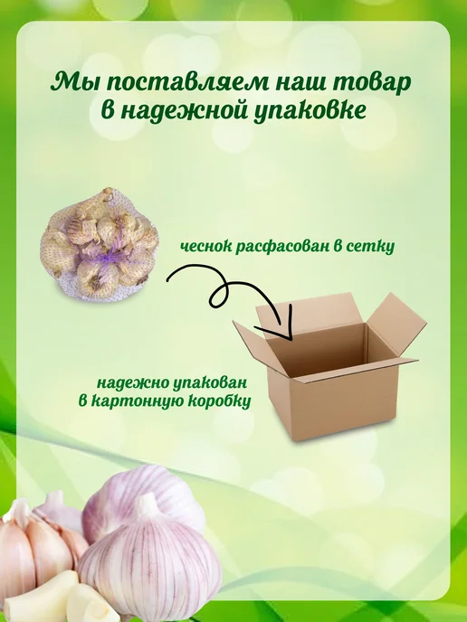 ЗДОРОВЫЙ БАЛАНС Чеснок озимый на посадку Любаша 1кг, 1 кг, фото 3