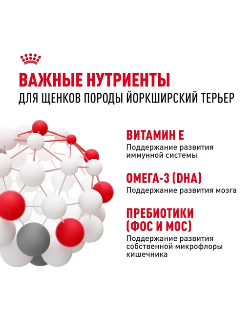 Сухой корм Royal canin Терьер Паппи для собак, щенки, 1,5 кг, фото 7