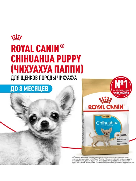 Сухой корм Royal canin Чихуа-Хуа Chihuahua для собак, щенки, 0,5 кг, фото 2