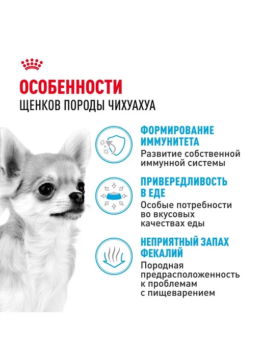 Сухой корм Royal canin Чихуа-Хуа Chihuahua для собак, щенки, 0,5 кг, фото 4
