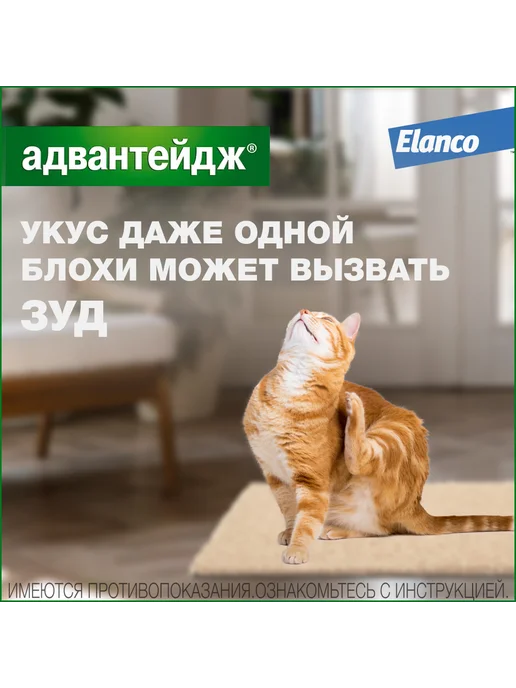 Elanco Адвантейдж 40 К капли для кошек меньше 4 кг 1 пипетка, 4 кг, фото 3