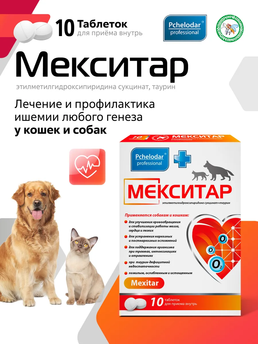 Мекситар Лечение и профилактика ишемии у кошек и собак