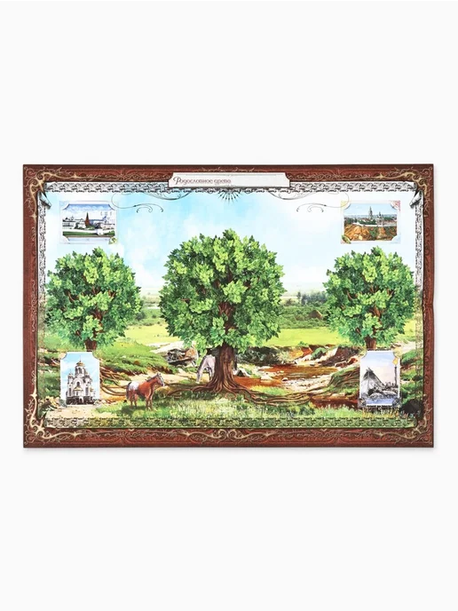 Нет бренда Родословная книга Семейная летопись 16,5х24 см, 16.5x24 см, фото 4