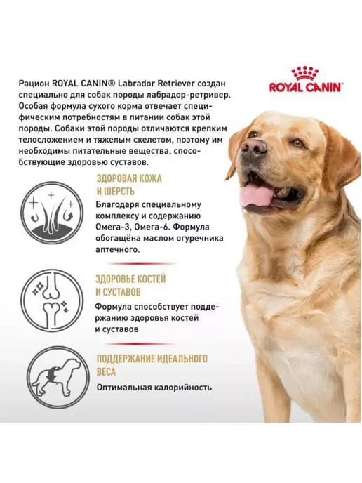 Сухой корм Royal canin Лабрадор Labrador для собак, 12 кг, фото 4