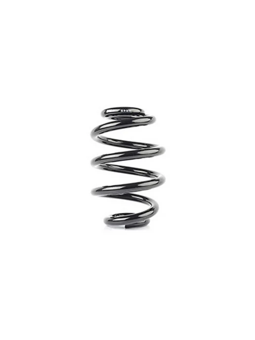 BSG AUTO PARTS Пружина подвески задней для Фольксваген BSG90305001 BSG AUTO, вариант
