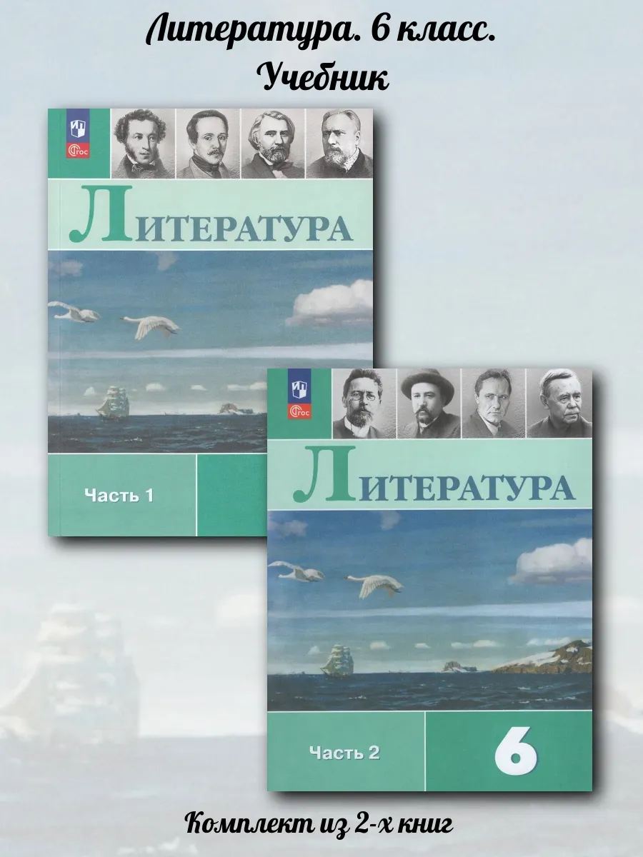 Литература. 6 класс. Учебник. Комплект из 2-х книг