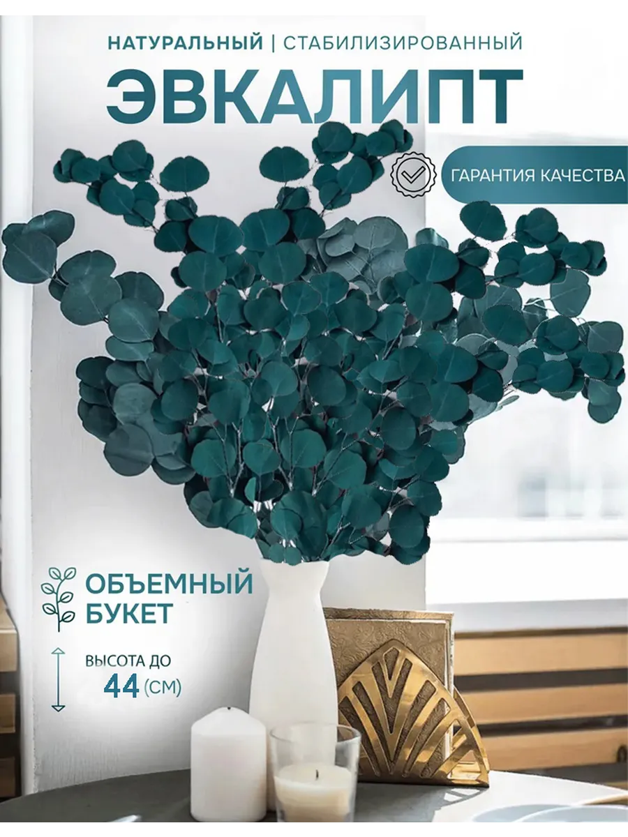 Эвкалипт стабилизированный, Сухоцветы для декора
