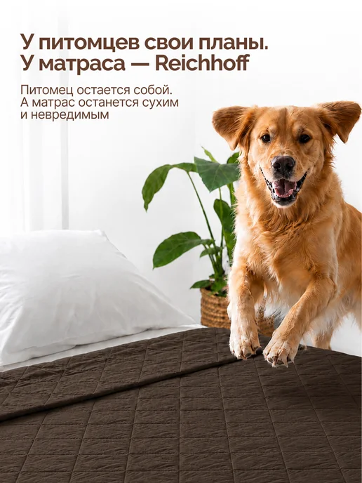 Reichhoff Непромокаемое покрывало от животных размер XL 259*208см, 259x208 см, фото 3