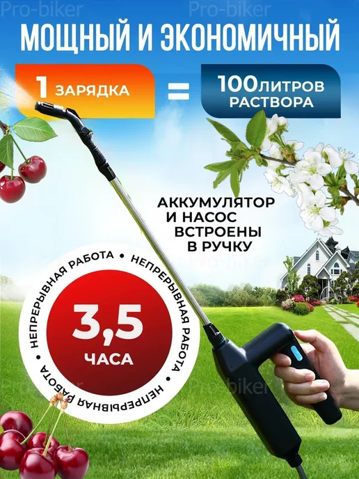 Аккумуляторный пульверизатор Опрыскиватель аккумуляторный садовый для деревьев мощный, вариант, фото 2