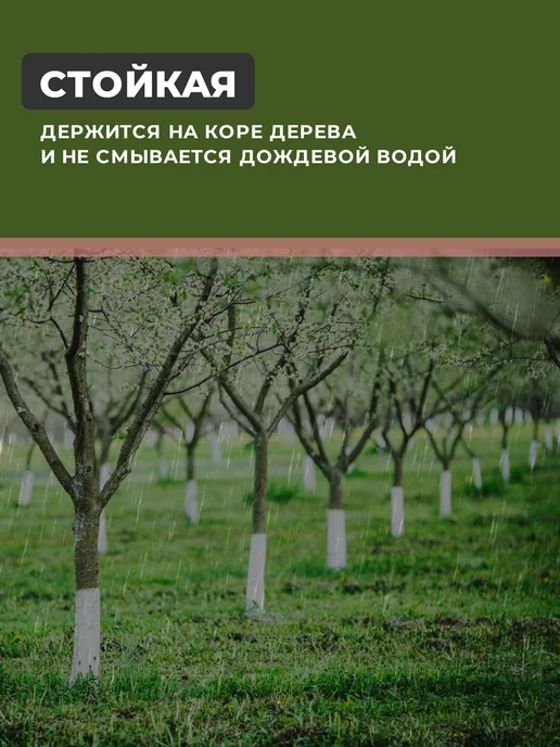 SYIFAT Краска для садовых деревьев 3 кг, 3 кг, фото 5