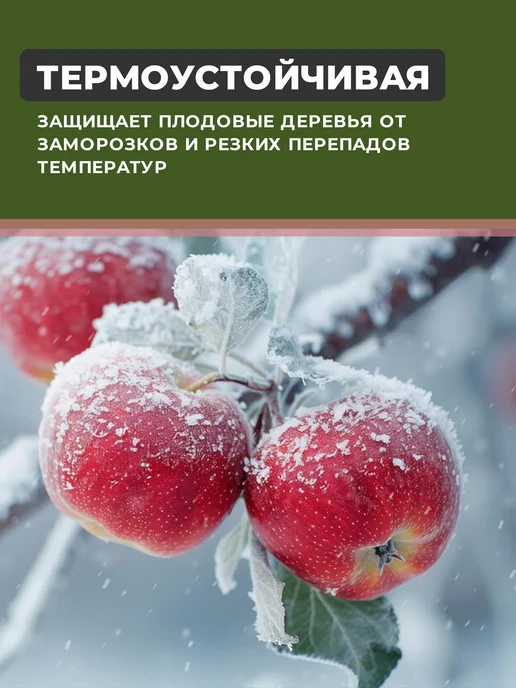 SYIFAT Краска для садовых деревьев 3 кг, 3 кг, фото 6
