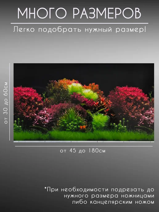 AquaMax Фон для аквариума и террариума 50х75 см, двухсторонний, 50x75 см, фото 6