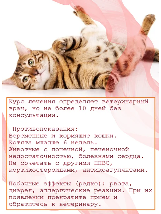 Белкаролин Мелоксивет суспензия для кошек обезболивающая 0,2%, 20мл, 20 мл, фото 4