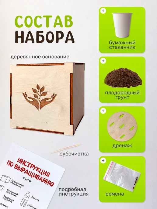 Сад на окне Конфетное дерево Набор для выращивания растений, вариант, фото 3