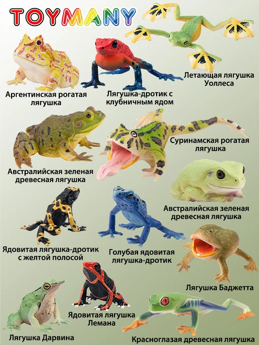 Toymany фигурки животных лягушка, зеленый