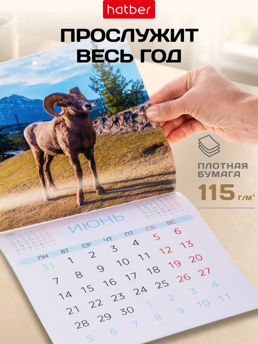 Hatber Календарь 2027 настенный перекидной Символ года, голубой, фото 4