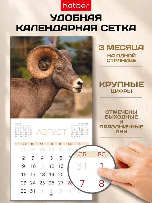 Hatber Календарь 2027 настенный перекидной Символ года, голубой, фото 5