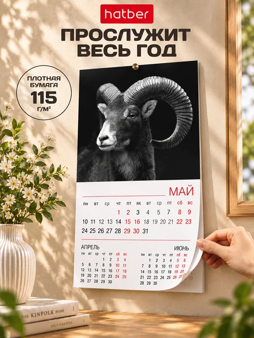 Hatber Календарь 2027 настенный перекидной Символ года, вариант, фото 3