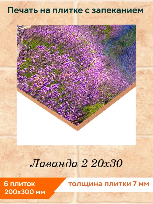 fres-co Панно из керамической плитки Лаванда 2 20х30, 20x30, фото 2