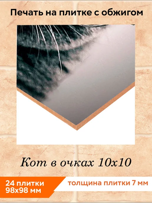 fres-co Панно из керамической плитки Кот в очках 20х30, 10x10, фото 2