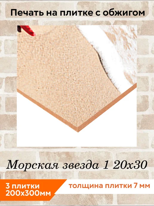 fres-co Панно из керамической плитки Морская звезда 1 20х30, 20x30, фото 2