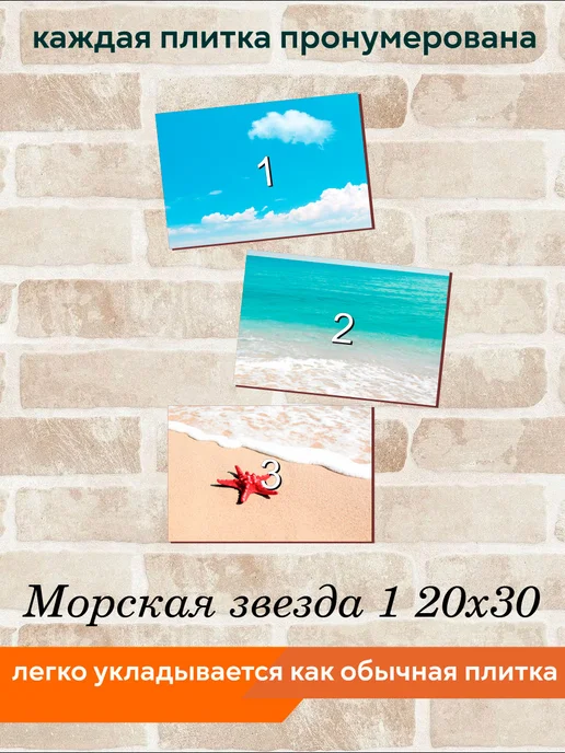 fres-co Панно из керамической плитки Морская звезда 1 20х30, 20x30, фото 5