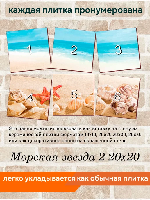 fres-co Панно из керамической плитки Морская звезда 2 20х30, 20x20, фото 4
