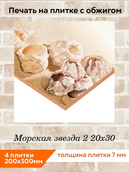fres-co Панно из керамической плитки Морская звезда 2 20х30, 20x30, фото 2