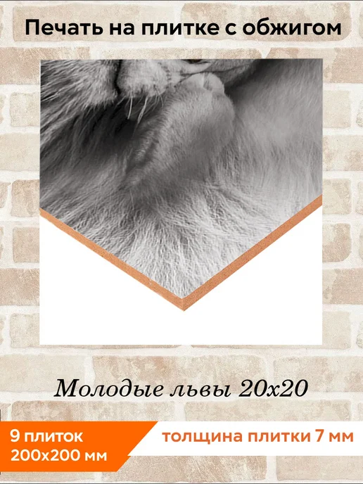 fres-co Панно из керамической плитки Молодые львы 20х30, 20x20, фото 2