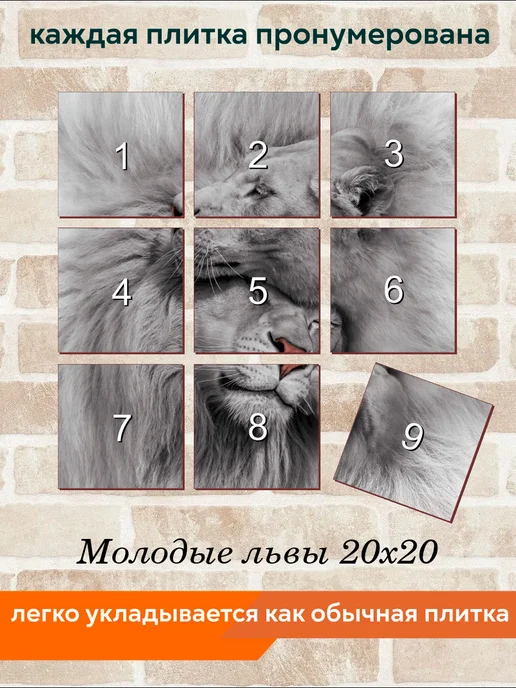 fres-co Панно из керамической плитки Молодые львы 20х30, 20x20, фото 4