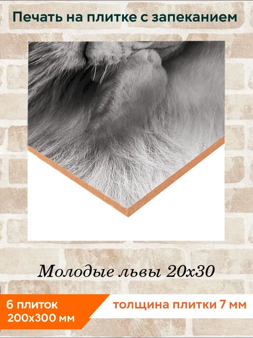fres-co Панно из керамической плитки Молодые львы 20х30, 20x30, фото 2