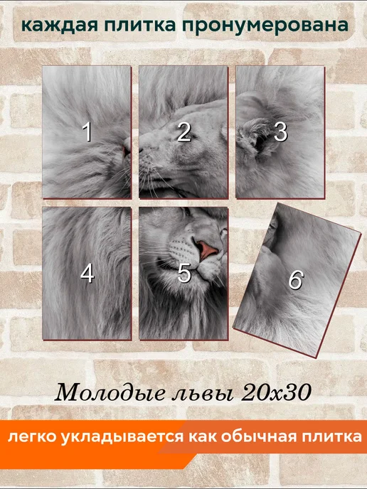 fres-co Панно из керамической плитки Молодые львы 20х30, 20x30, фото 4
